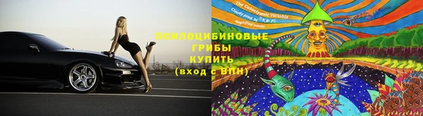 прущий лед Карпинск