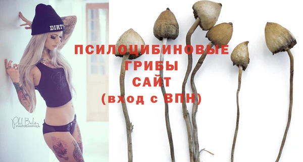 мескалин Касимов