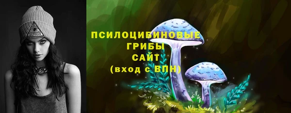 бошки Кинешма