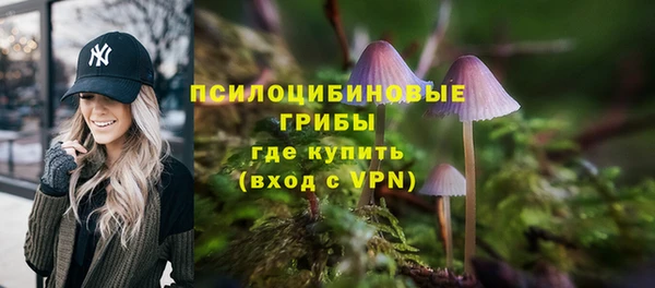 мескалин Касимов